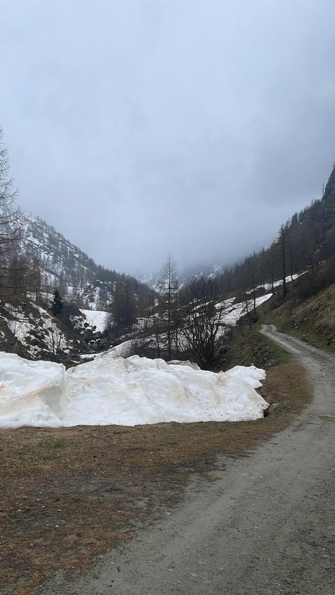 Laghi Di Como Appartamento Di Licinia E Mario Asso 外观 照片