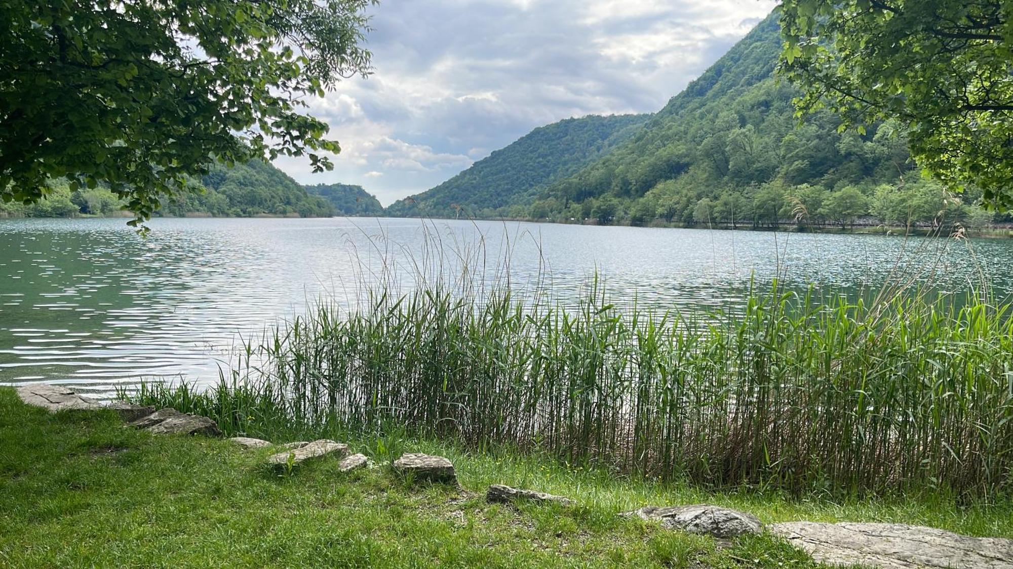 Laghi Di Como Appartamento Di Licinia E Mario Asso 外观 照片